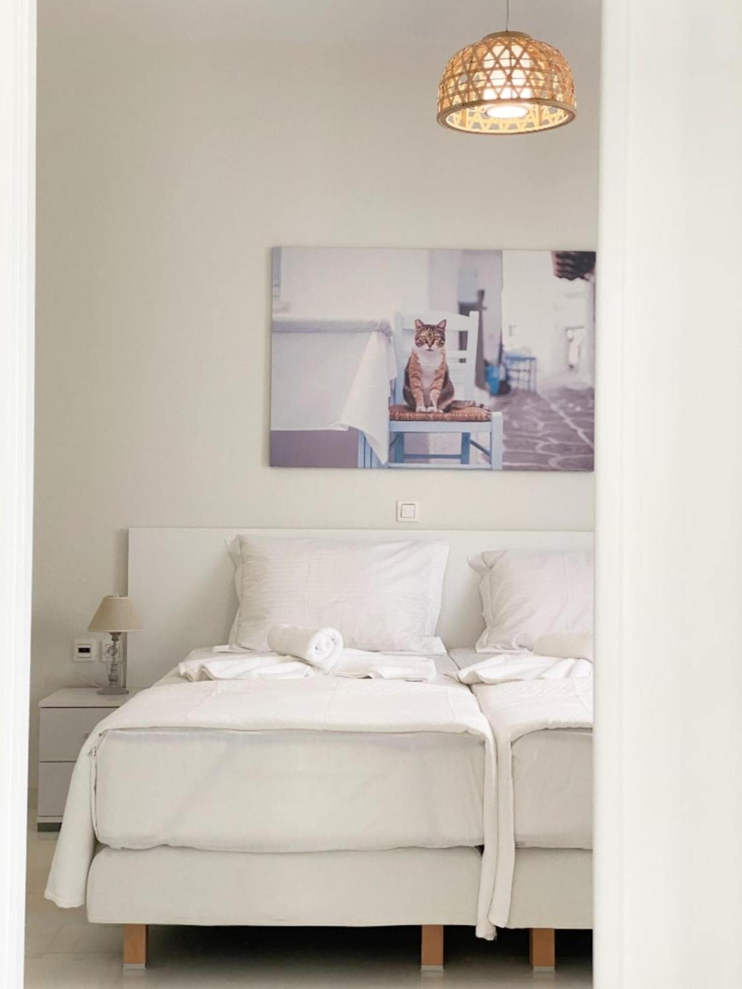 Heart Of Paros Apartments Екстериор снимка