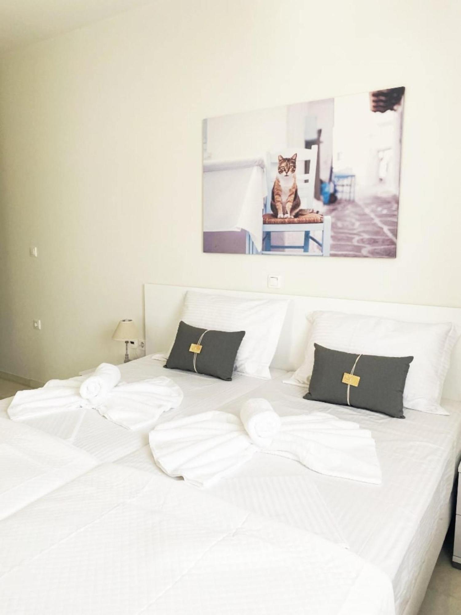 Heart Of Paros Apartments Екстериор снимка